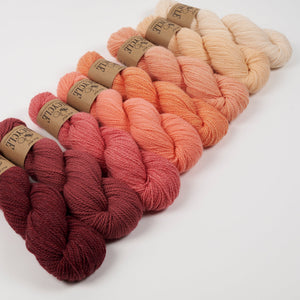 WESTKNITS KIT - PEACH SKYR