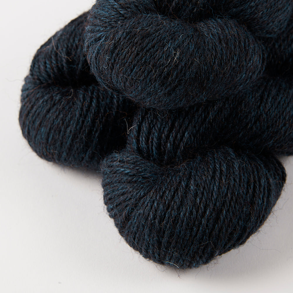 HARVEST HUES WORSTED - BLACKTHORN