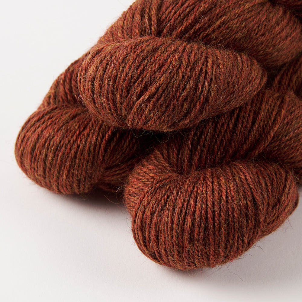 HARVEST HUES WORSTED - BRACKEN