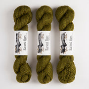 John Arbon Textiles HARVEST HUES WORSTED - BURDOCK Blue Faced Leicester Merino wool Worsted green Yarn