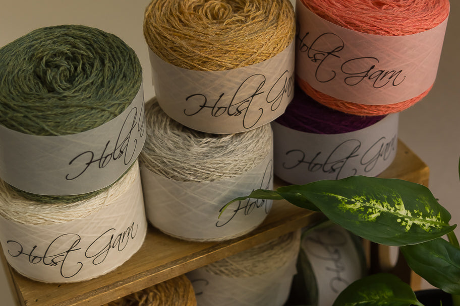 Collection of colorful yarn rolls on a wooden shelf with a plant in the foreground.