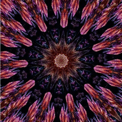 Mystery Purple Cashmere Kaleidoscope - Dark Omen - MKAL 2026