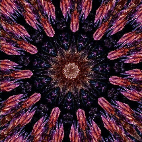 Mystery Purple Kaleidoscope - Dark Omen - MKAL 2026