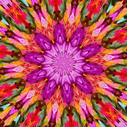 Mystery Rainbow Kaleidoscope - LITLG - MKAL 2026