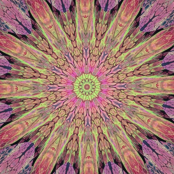 Mystery Lucky Kaleidoscope - Hedgehog Fibres - MKAL 2026