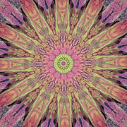 Mystery Lucky Kaleidoscope - Hedgehog Fibres - MKAL 2026