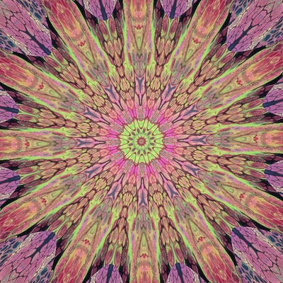 Mystery Lucky Kaleidoscope - Hedgehog Fibres - MKAL 2026
