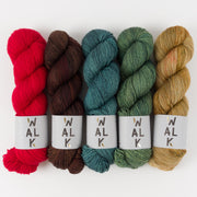 WALK Collection JADE CHERRIES Merino wool Fingering Quick Kits