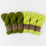 West Wool JUICY OLIVES Merino wool DK Quick Kits
