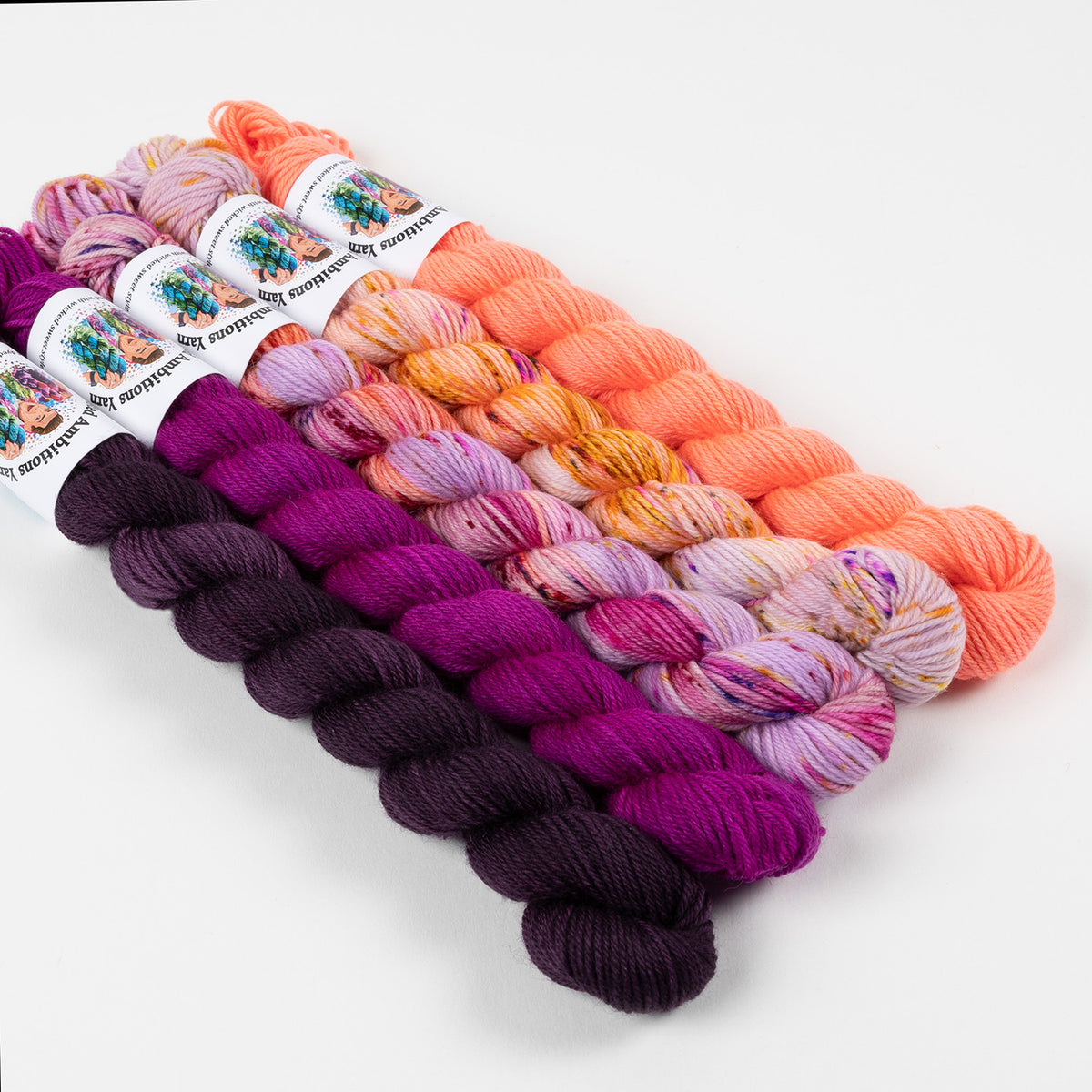 SSAL 2025 - DISCO MINIS