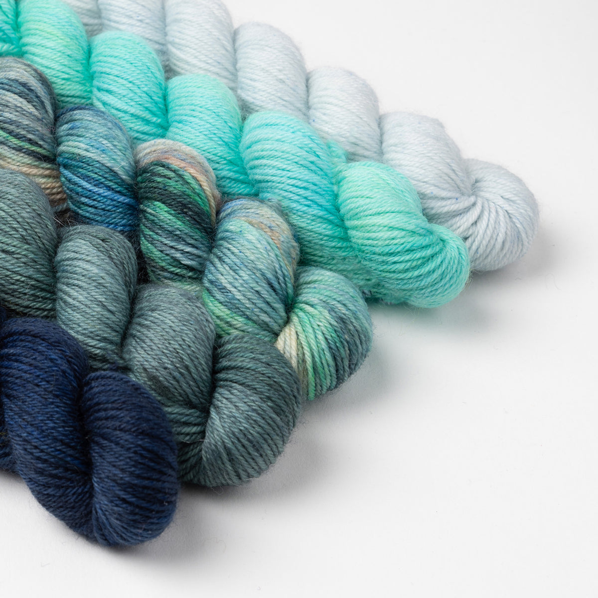 SSAL 2025 - AQUARIUS MINIS