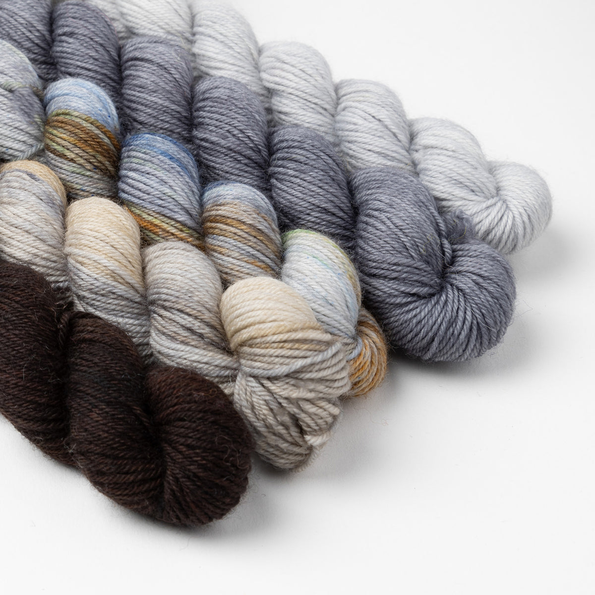 SSAL 2025 - CAPRICORN MINIS