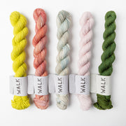 WALK Collection WESTKNITS KIT - CHARTREUSE MINIS multicolour Westknits Kits