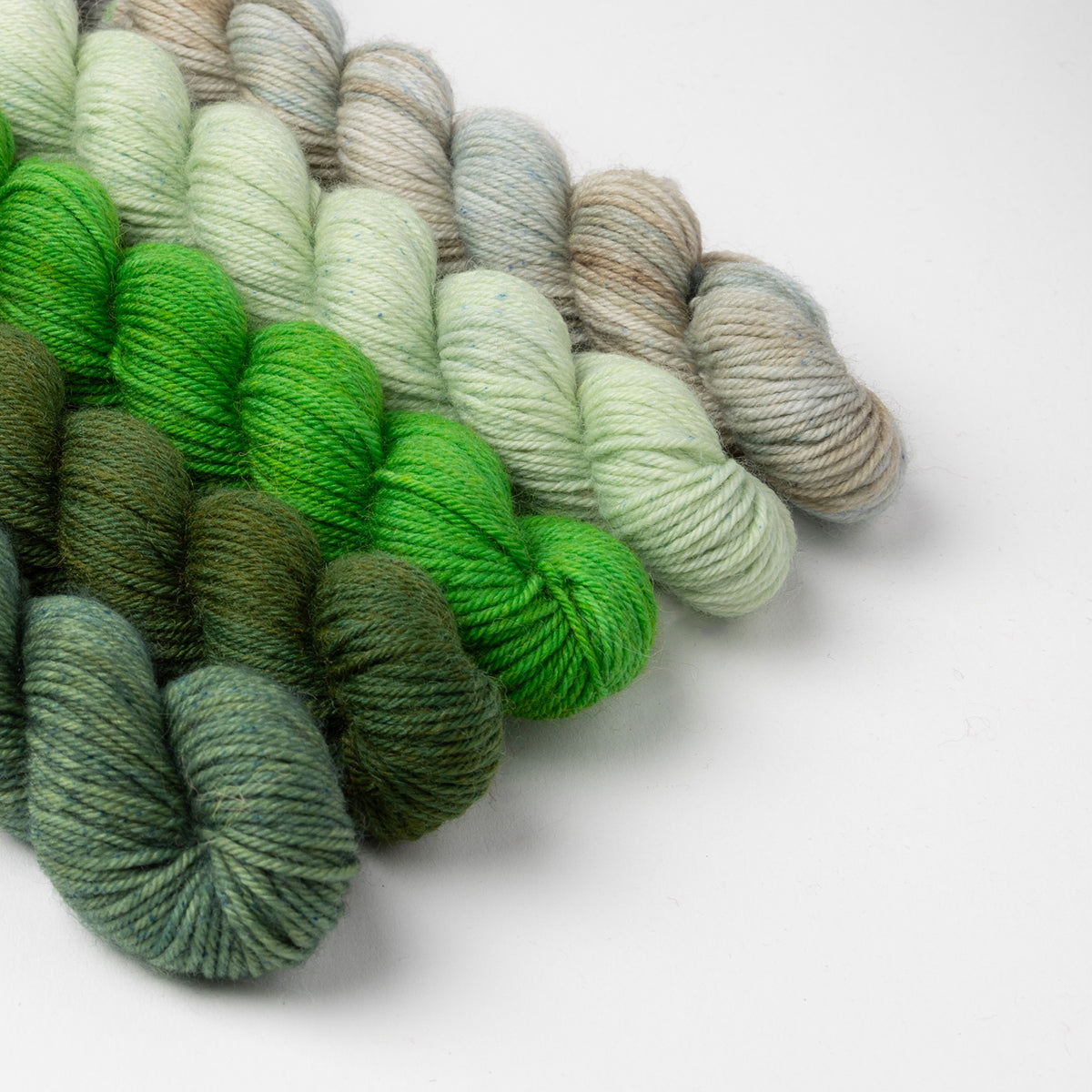 SSAL 2025 - FERN MINIS