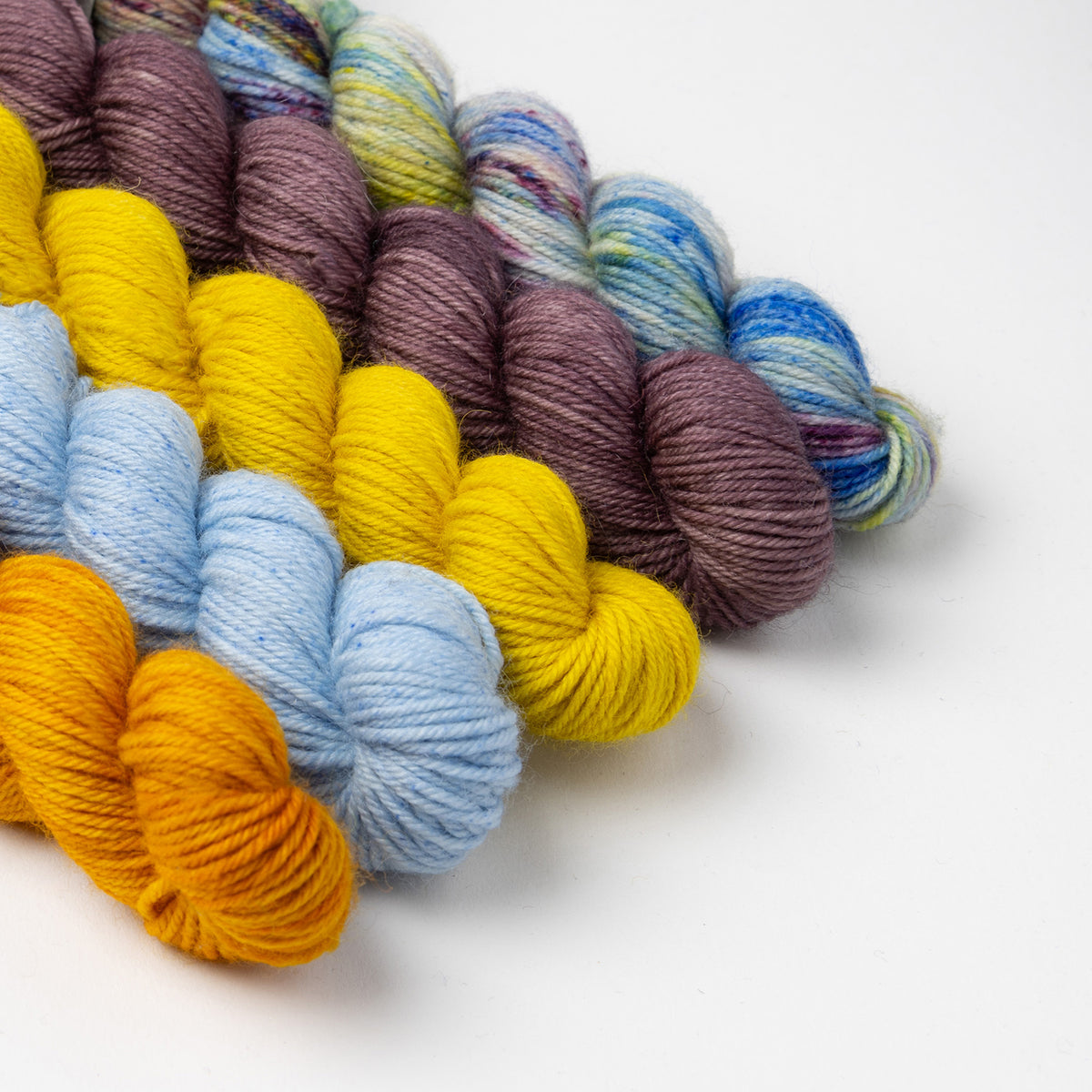 SSAL 2025 - GOLDENROD MINIS