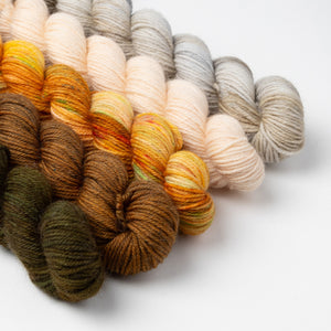 SSAL 2025 - OYSTER MINIS