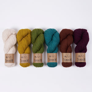 LINDU PEYSA - DIJON BEAR