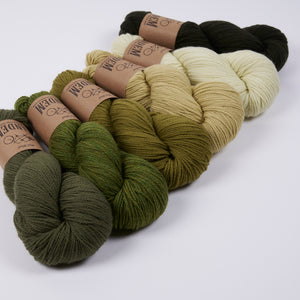 LINDU PEYSA - MOSSY FERN