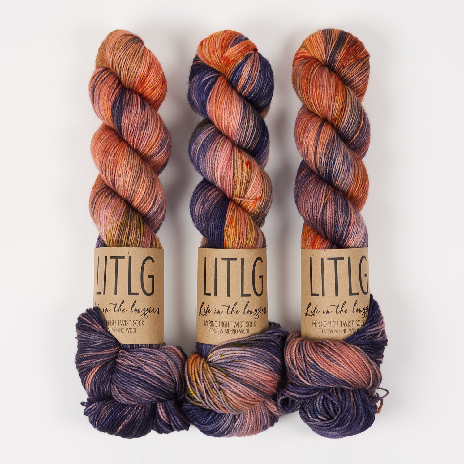 Life in The Long Grass HIGH TWIST SOCK - ASTRAL Merino wool Fingering multicolor Yarn