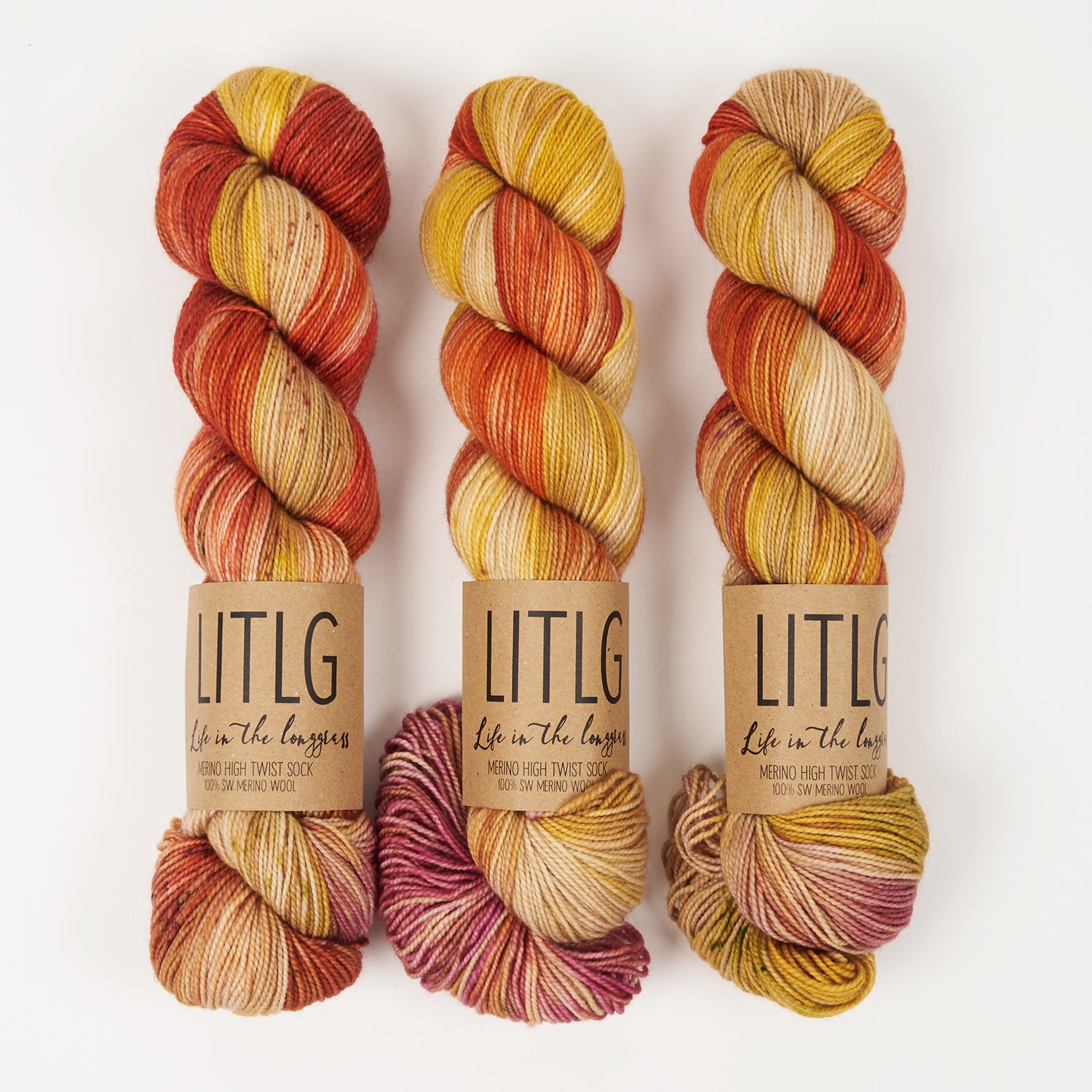 Life in The Long Grass HIGH TWIST SOCK - PODZOLIC Merino wool Fingering multicolour Yarn