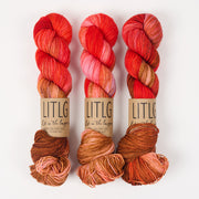 Life in The Long Grass HIGH TWIST SOCK - SMOULDER Merino wool Fingering red brown Yarn