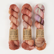 Life in The Long Grass HIGH TWIST SOCK - TAWNEY Merino wool Fingering rainbow Yarn