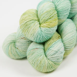 LITLG SINGLES - SUCCULENT