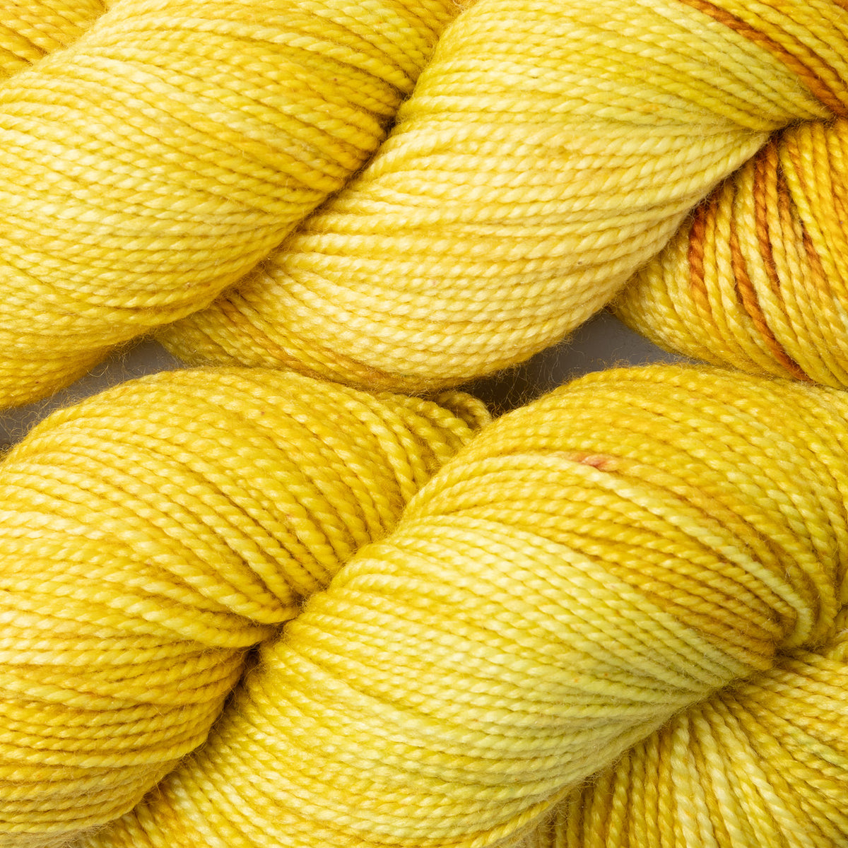 LUX HI TWIST - MIDAS