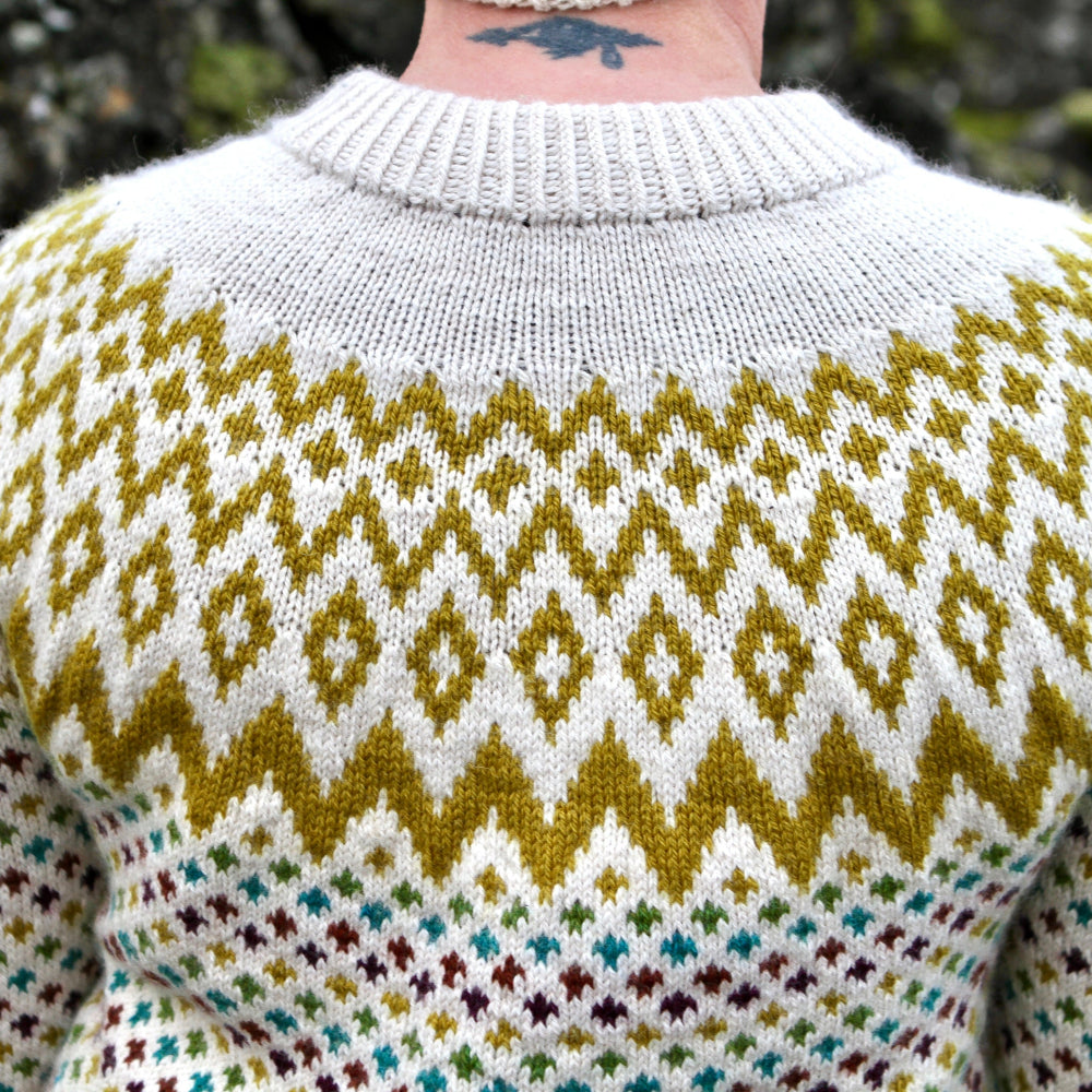 LINDU PEYSA - DIJON BEAR