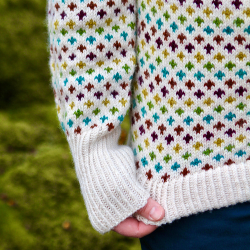 LINDU PEYSA - DIJON BEAR