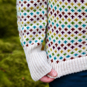 LINDU PEYSA - DIJON BEAR