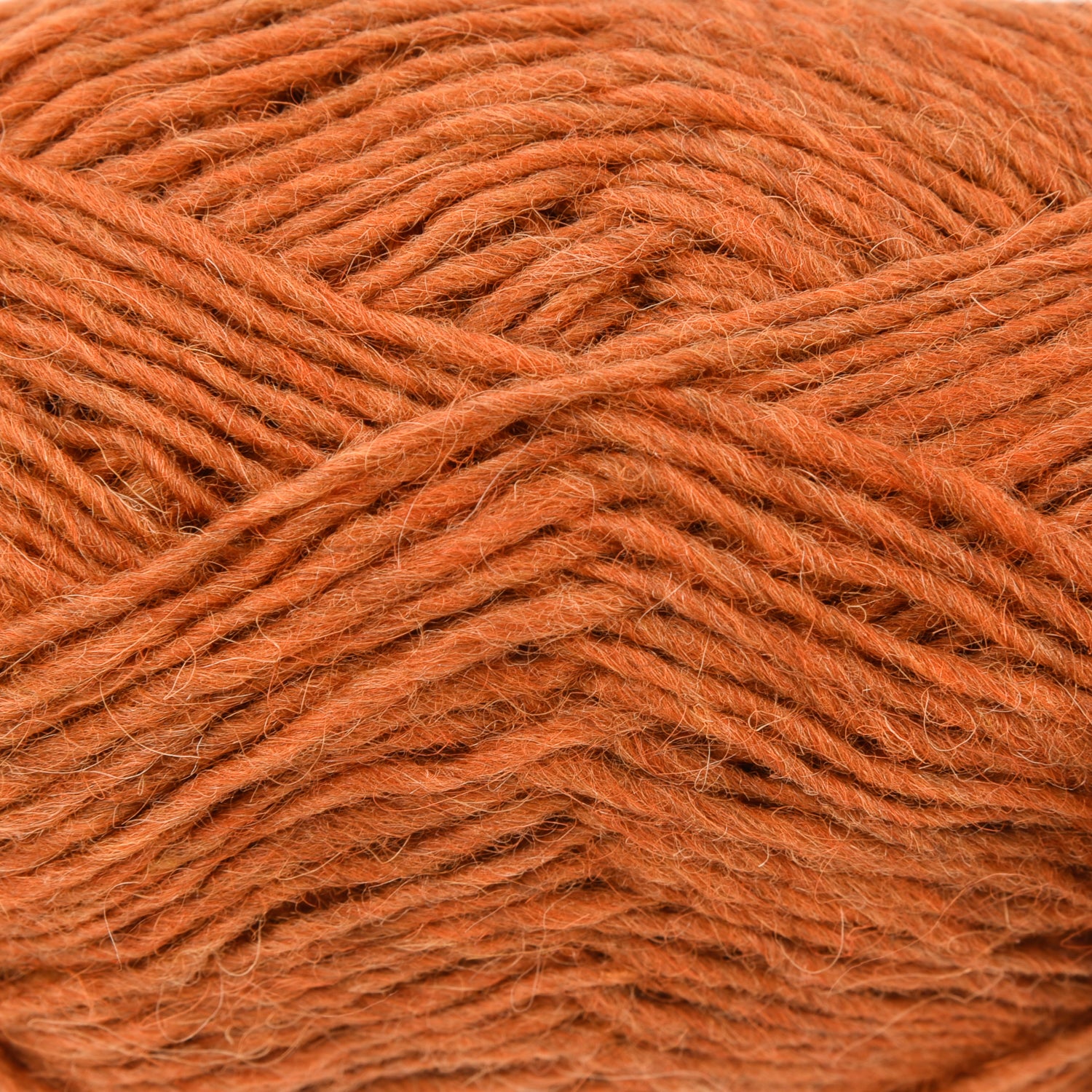 Léttlopi 1704 - Apricot