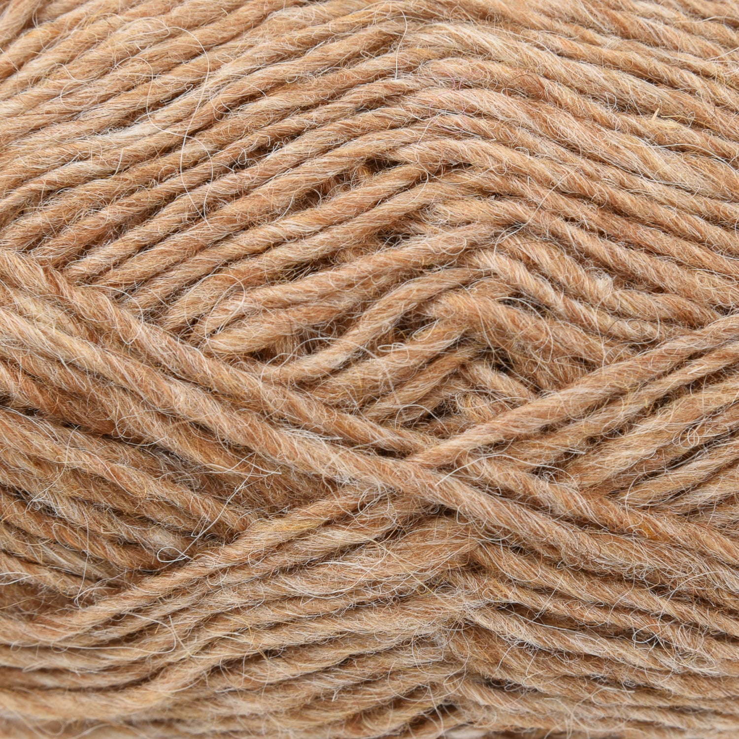 Léttlopi 1419 - Barley