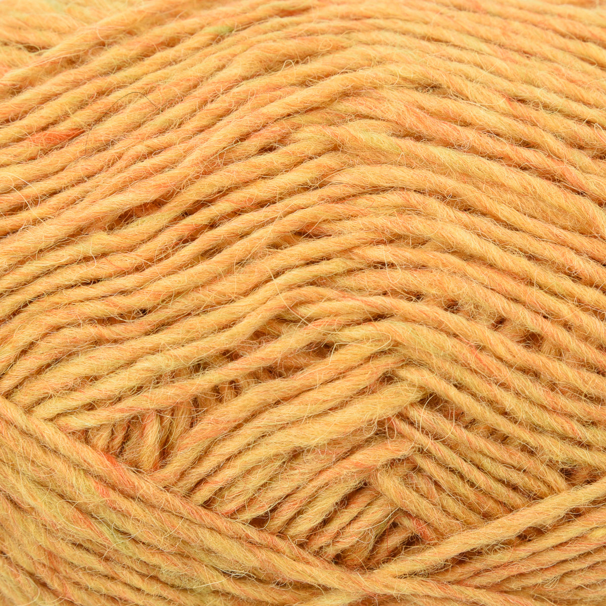 LÉTTLOPI 1703 - MIMOSA