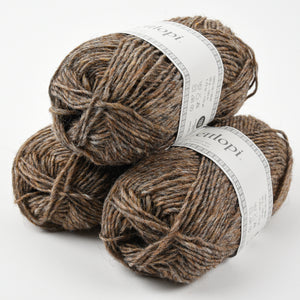 LÉTTLOPI 1420 - MURKY