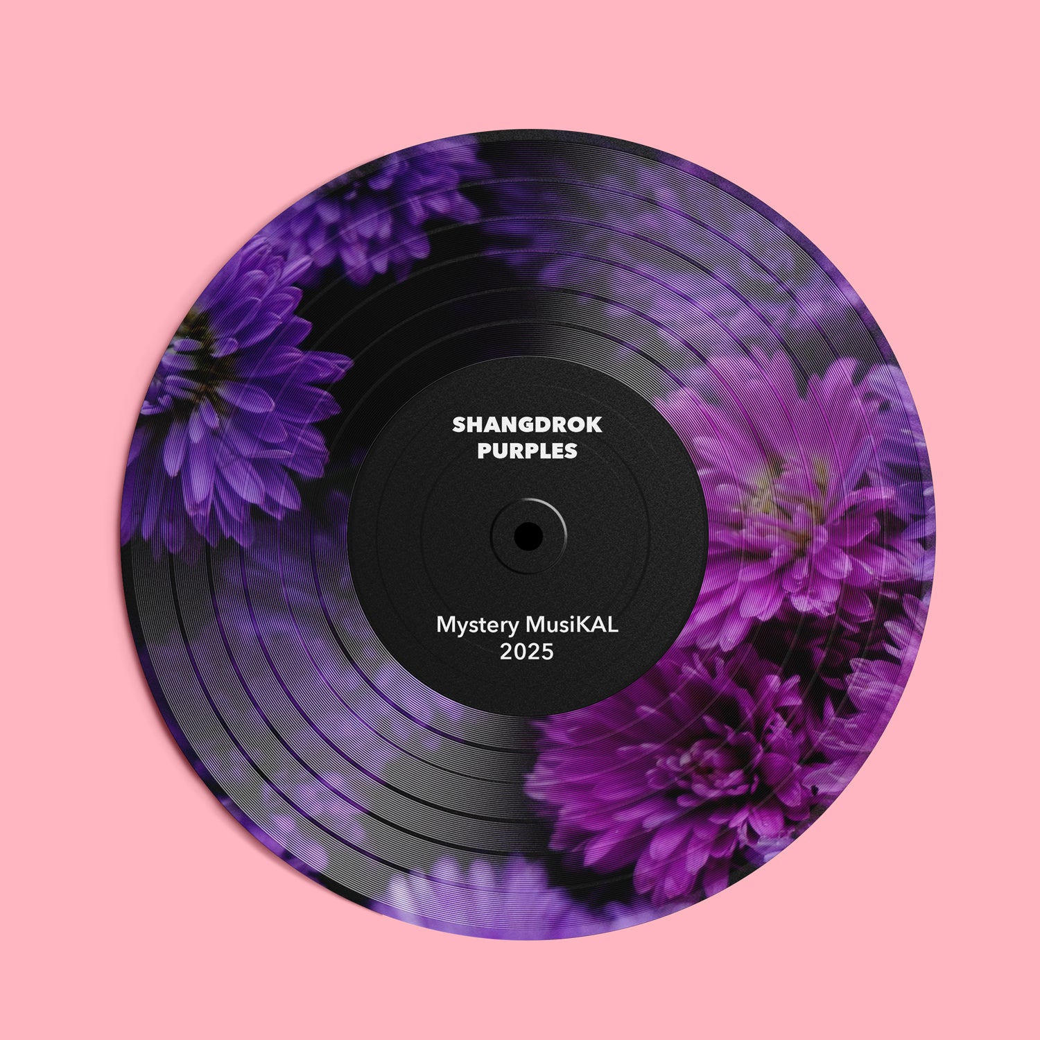 Shangdrok MYSTERY MUSIKAL - SHANGDROK - PURPLES Merino wool purple MKAL Kit