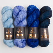 Punk Rock Unicorn ATLANTIC GRADIENT Merino wool Nylon Fingering Quick Kits