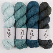 WALK Collection FJORD GRADIENT Merino wool Fingering Quick Kits