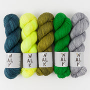 WALK Collection MOORLAND FLOWERS Merino wool Fingering Quick Kits