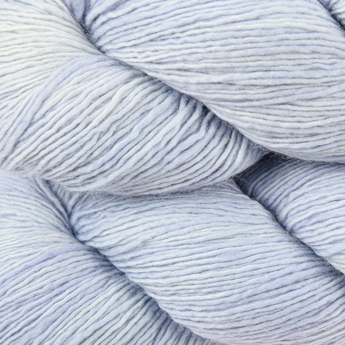 DASHING SASSY - MOTH