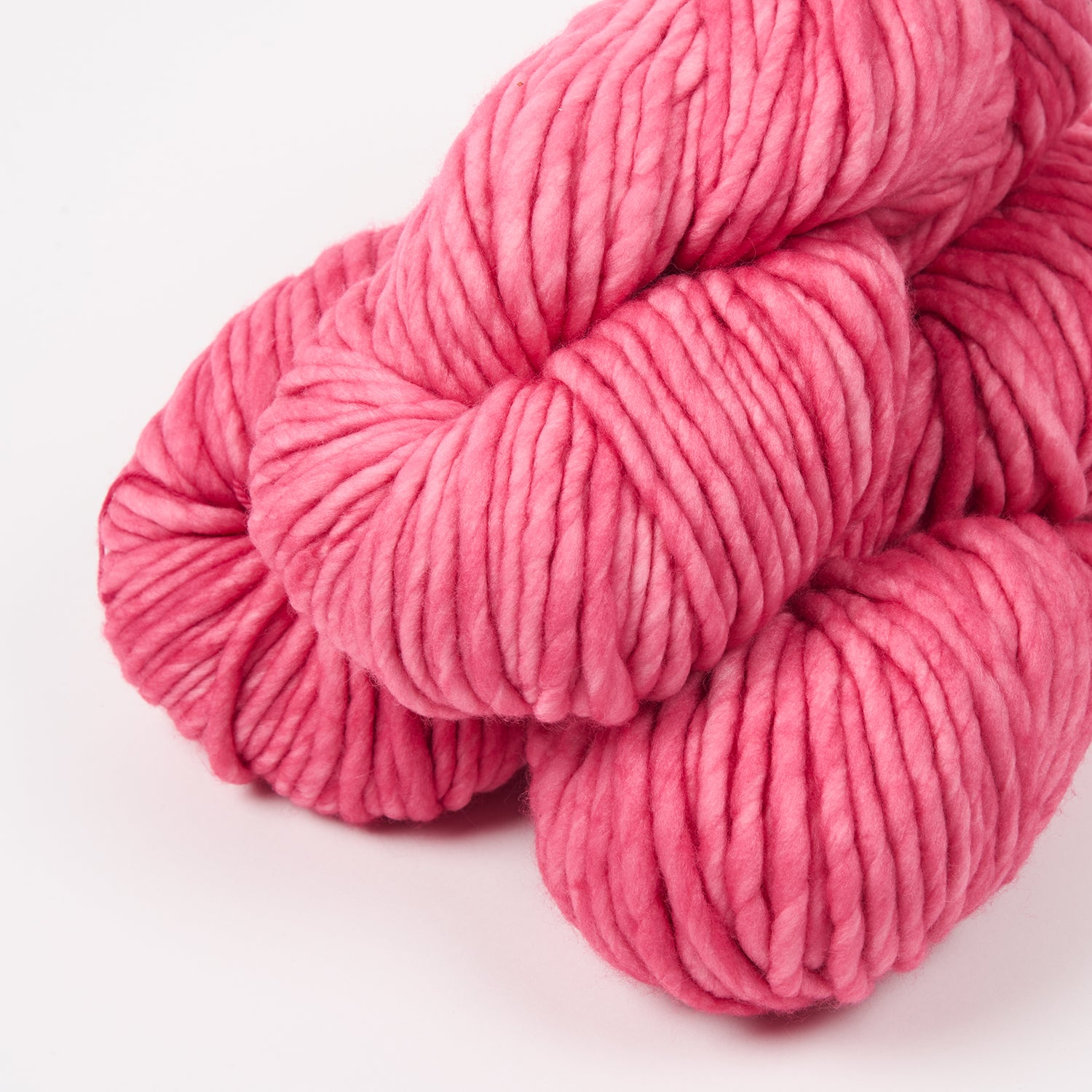 RASTA - CACTUS FLOWER