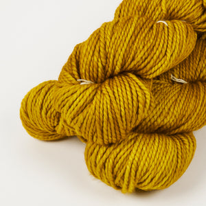 VIENTOS - FRANK OCHRE