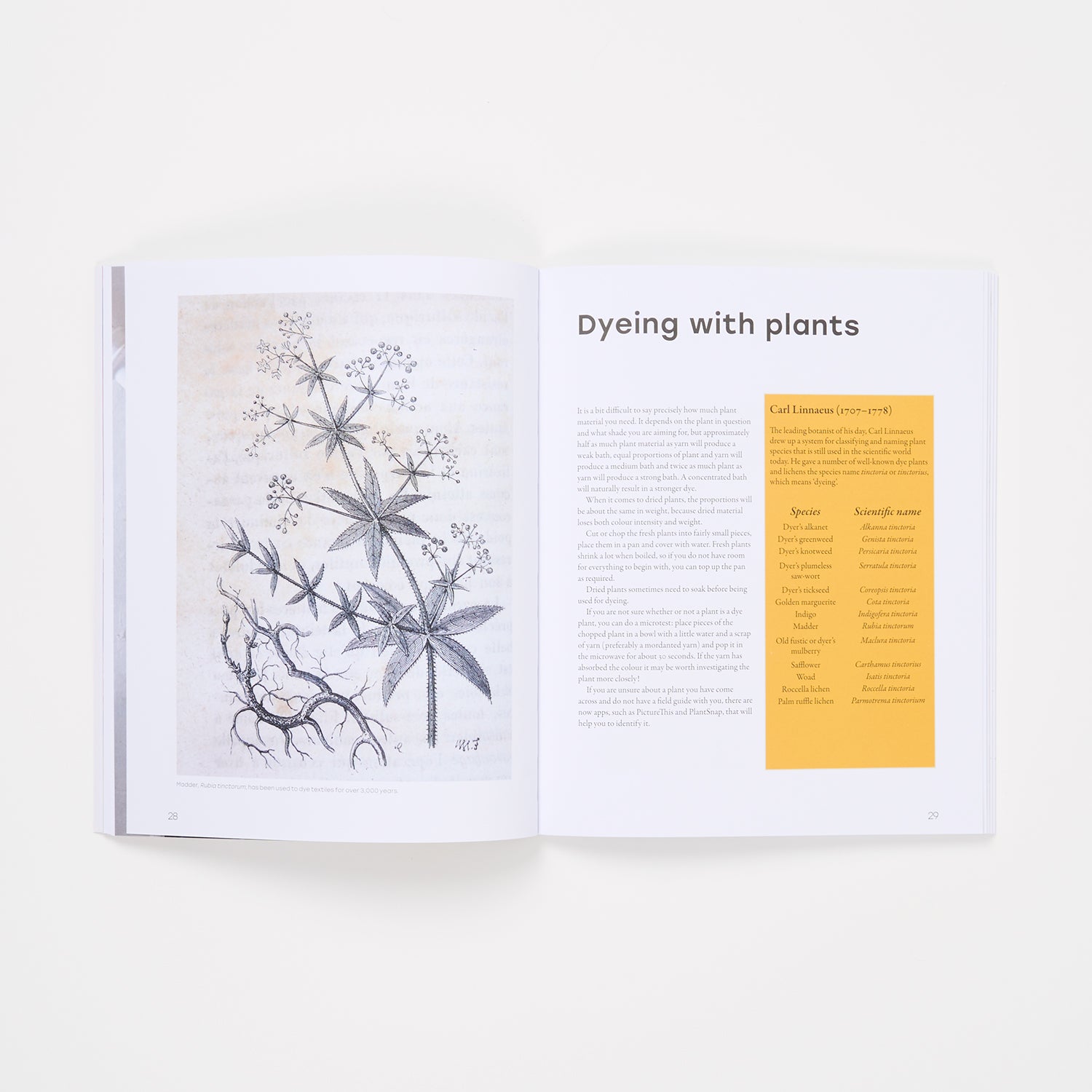 Natural Yarn Dyes by Anna Bauer And Eva Zethraeus