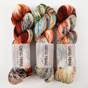 Qing Fibre DASHING SASSY - NEST Merino wool Fingering multicolour Yarn