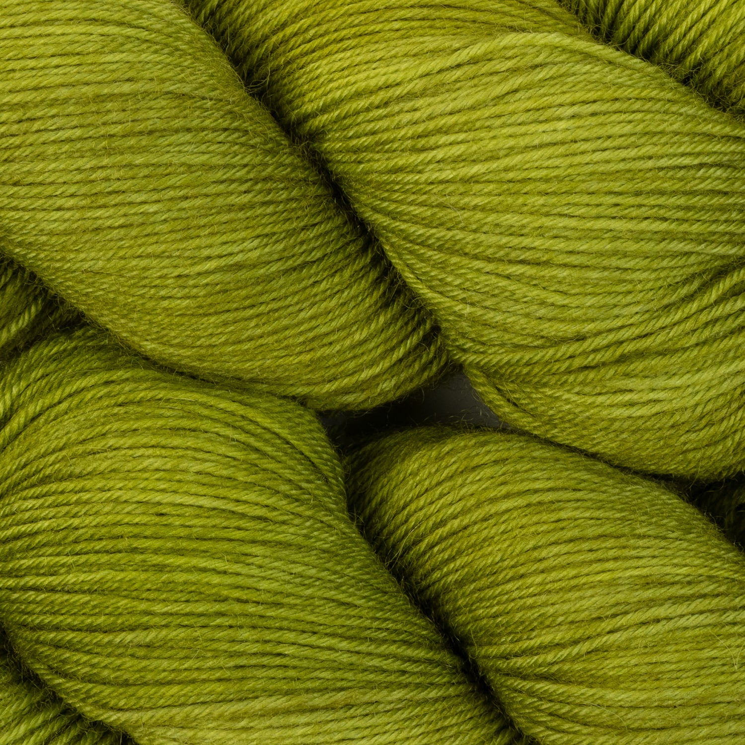 Olivia BFL - Palm