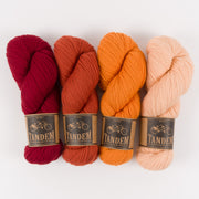 West Wool SUGARY CITRUS Merino wool DK Quick Kits