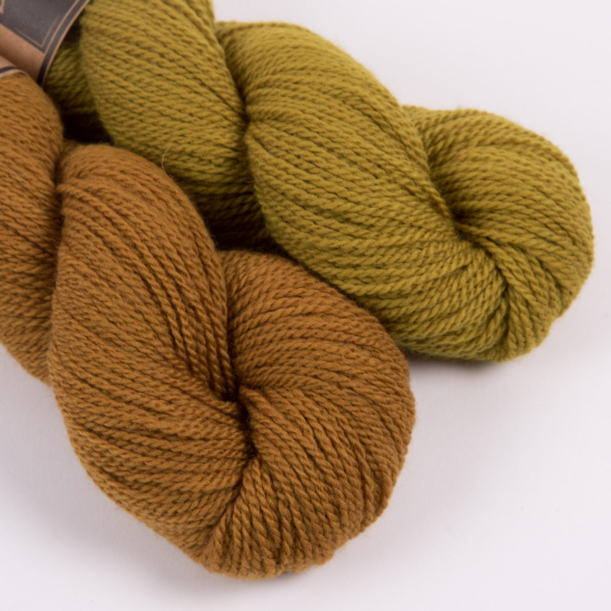 MOSSY MARLED RAGLAN – PAWPRINTS IN THE MUSTARD