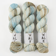 WALK Collection WALK MERINO DK - PERMAFROST Merino wool DK multicolour blue Yarn