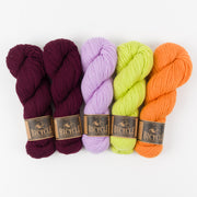 West Wool PICKLE POP Merino wool Fingering Quick Kits