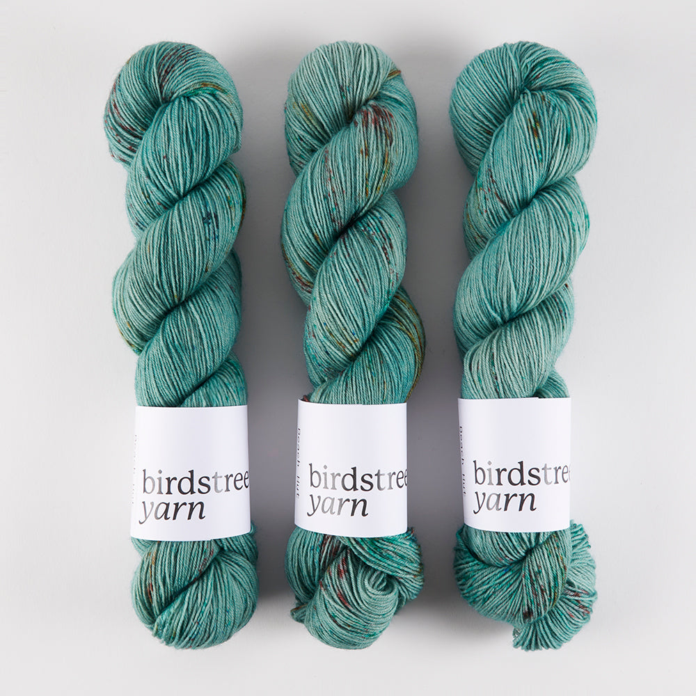 Birdstreet Yarn BIRDSTREET BFL - BEACH HUT BFL Wool Blue Faced Leicester Nylon Fingering turquoise Yarn
